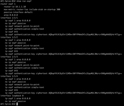 OSPF Configuration