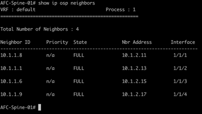OSPF Adjacencies